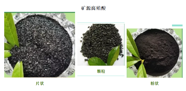 看過來！帶你了解司普沃赫蔓核心成分-礦源腐殖酸