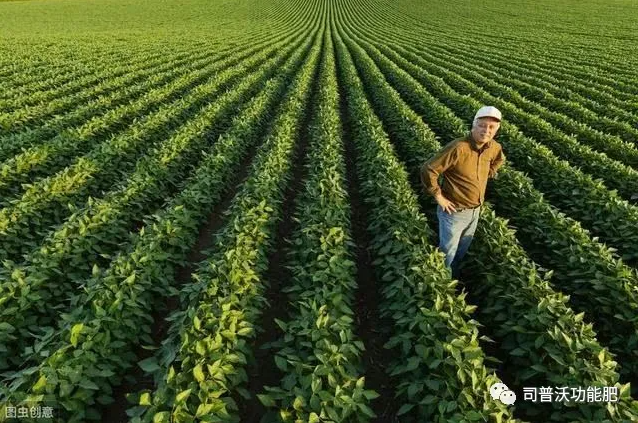 七種不同作物的科學輪換茬口種植？看了讓你不增產都難！