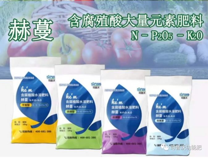 大蔥科學施肥與注意事項
