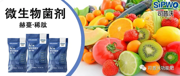赫蔓微生物菌劑-分解毒素、改良土壤、調(diào)節(jié)生命活動(dòng)、抑制土壤病菌