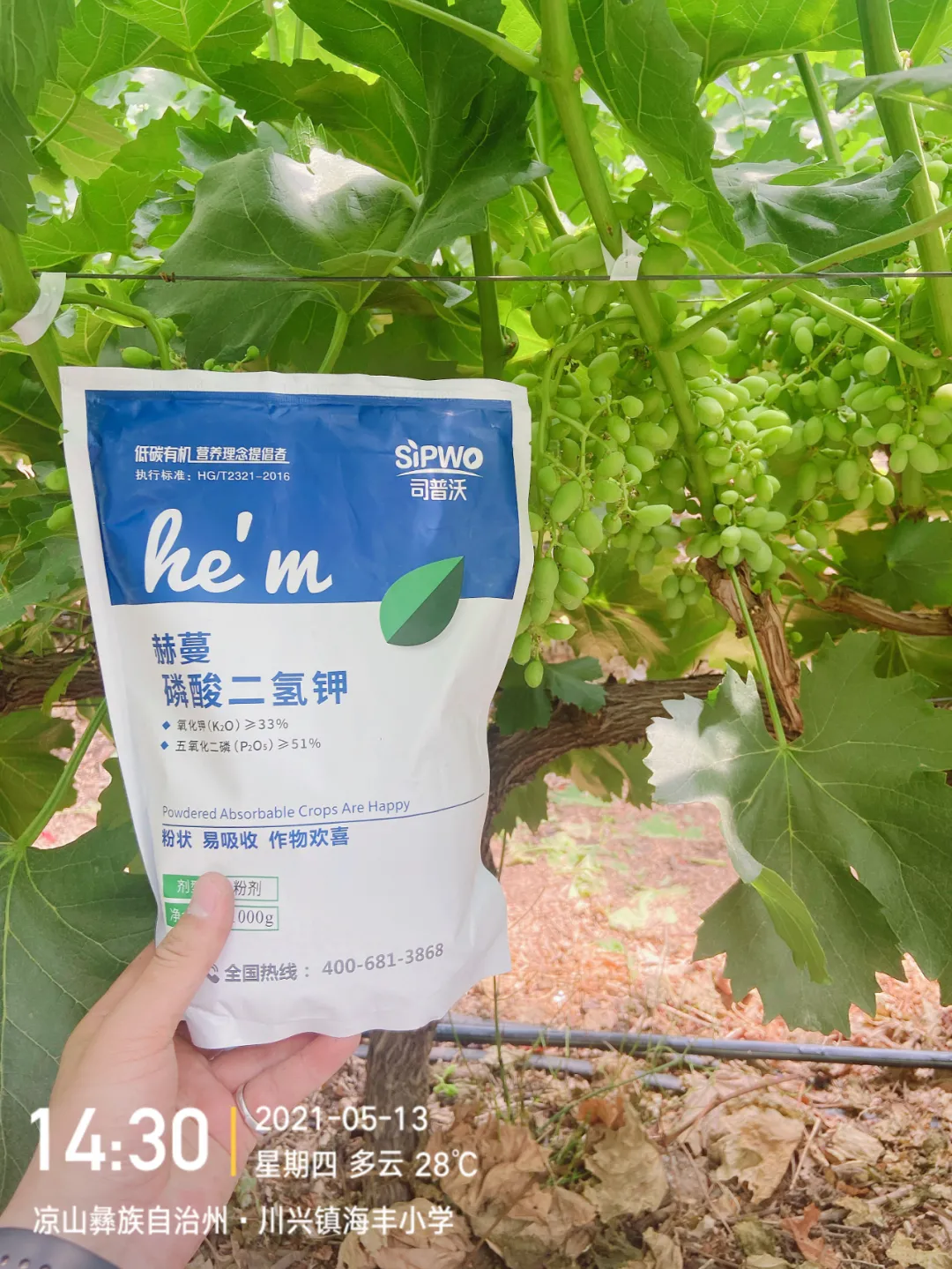 磷酸二氫鉀的辨別真假現(xiàn)場(chǎng)，99%以上是假貨！