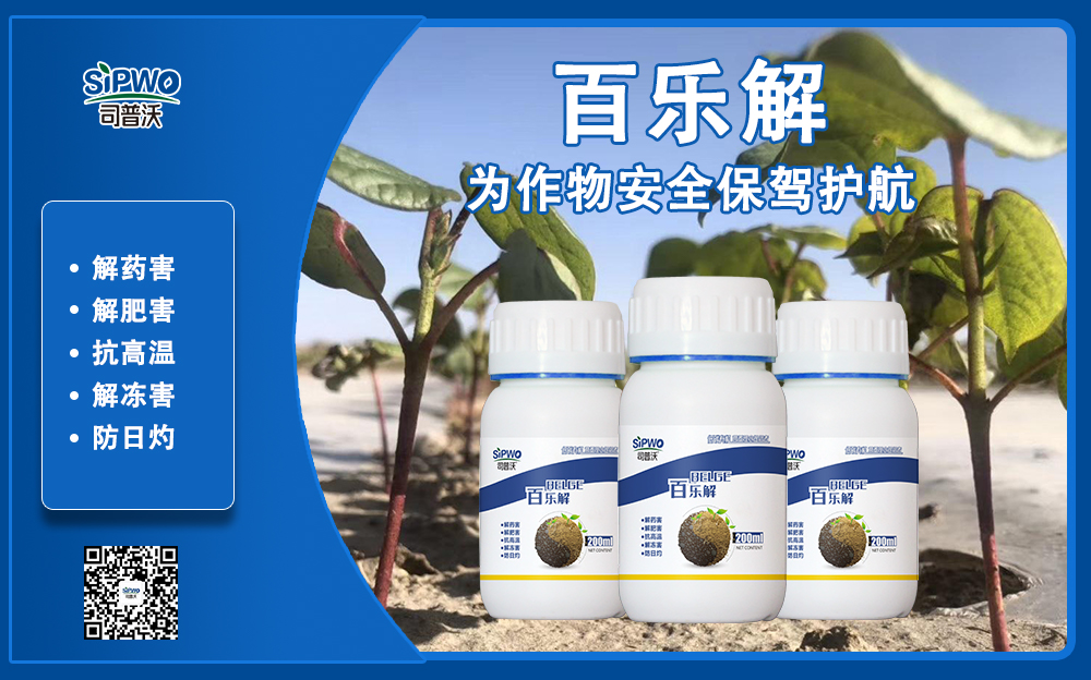 司普沃赫蔓百樂(lè)解，解凍害、解肥害、解藥害，棉花上再顯神威！