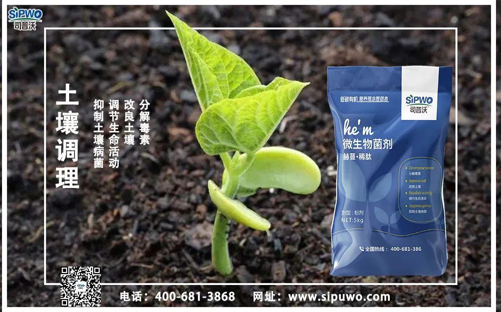 【農(nóng)技知識(shí)】土壤出問題了，肥料用再多也別想增產(chǎn)！