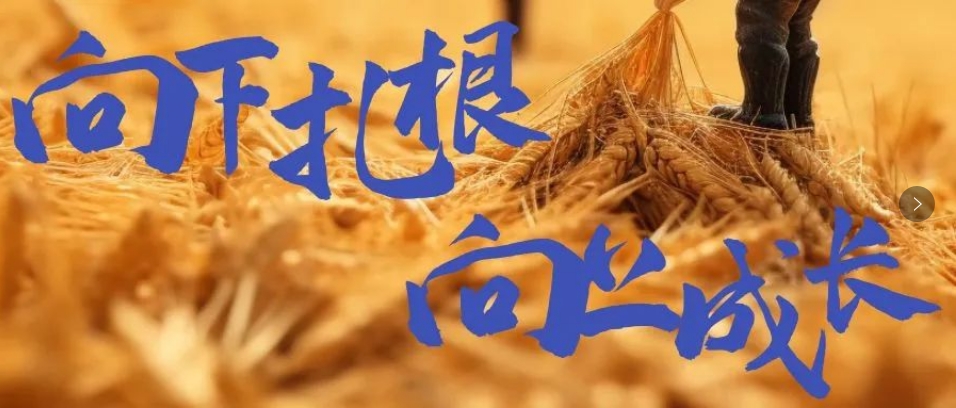 向下扎根，向上成長，司普沃6月市場服務(wù)一線效果反饋