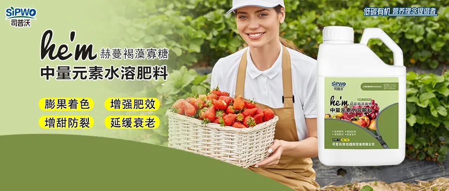 褐藻寡糖--中量元素水溶肥|膨果著色、增強肥效、增甜防裂、延緩衰老