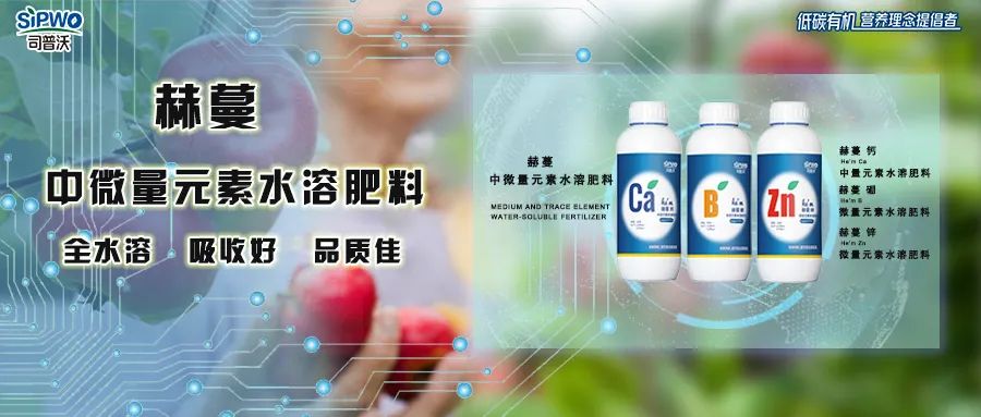中微量元素鈣、硼、鋅|移動快、吸收好、營養(yǎng)全、品質(zhì)佳