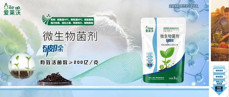 愛萊沃·微生物菌劑_破除|沃土、生根、抗病一步到位
