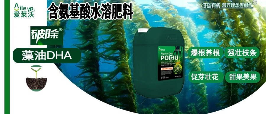 愛萊沃·破除藻油DHA|爆根養(yǎng)根、強壯枝條、促芽壯花、甜果美果