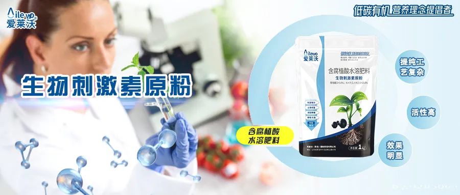 含腐植酸水溶肥料—生物刺激素原粉|恢復地力、土壤修復、調(diào)酸降堿、爆根壯苗