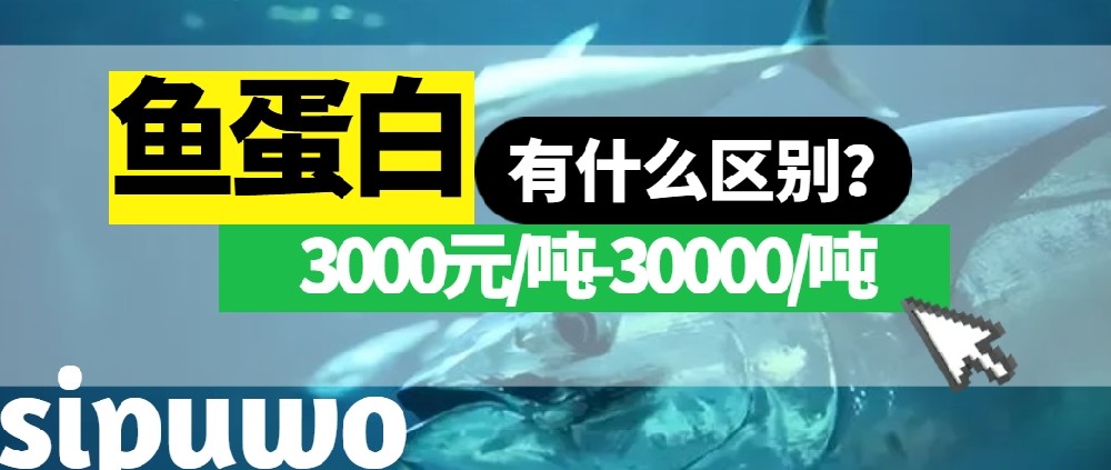 3000-30000元/噸的魚蛋白有多大差距？一篇文章告訴你！