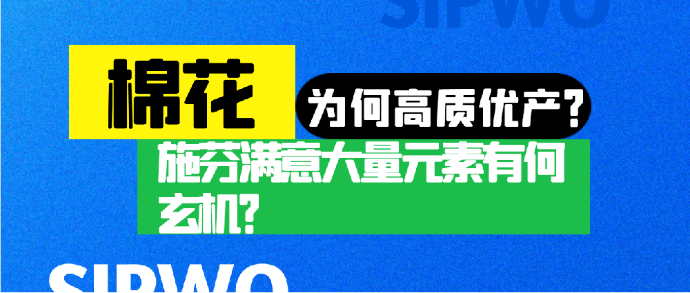 棉花憑啥高產(chǎn)優(yōu)質(zhì)？施芬滿意大量元素有何玄機(jī)？